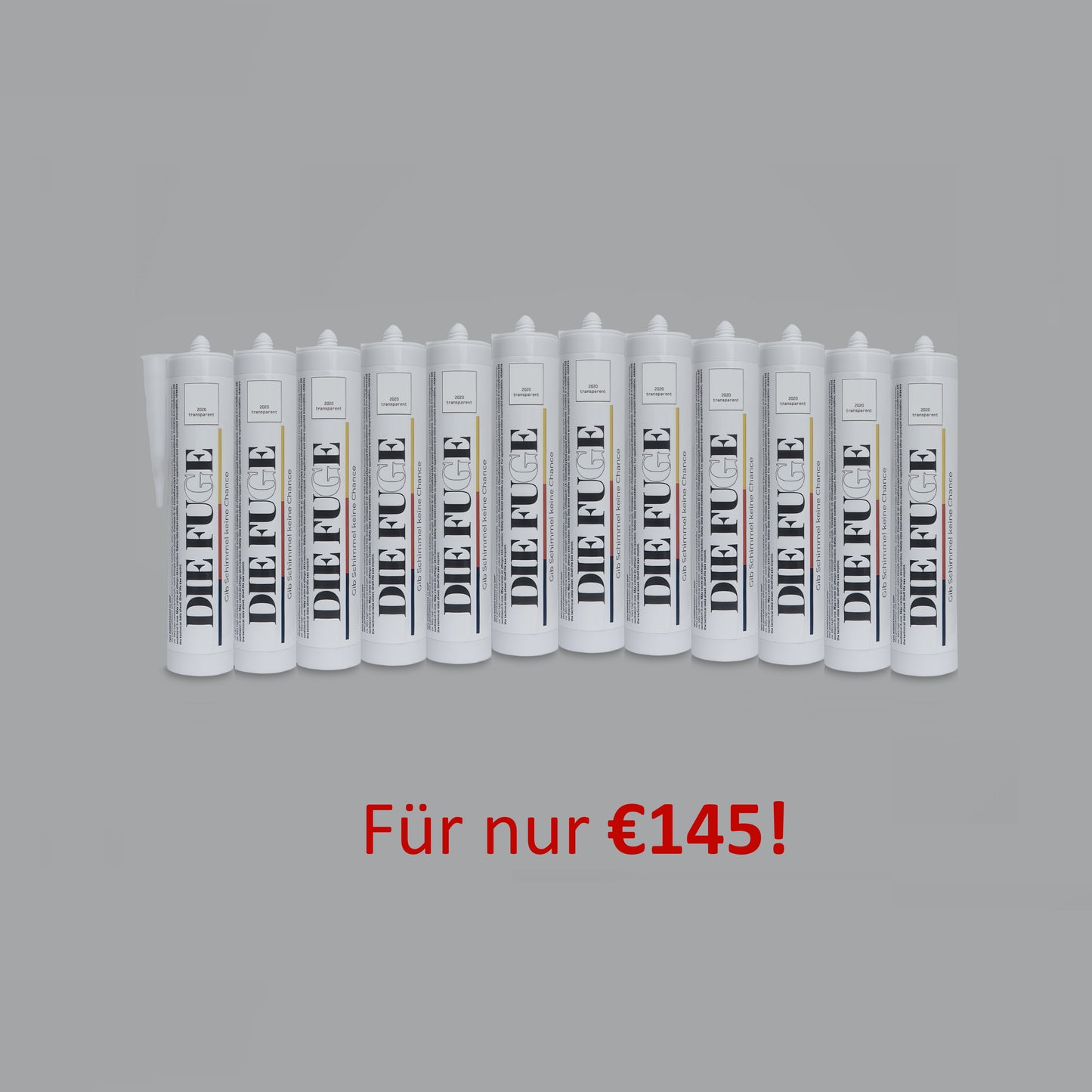 Sonderangebot Karton DIE FUGE mit 12 Kartuschen für €145